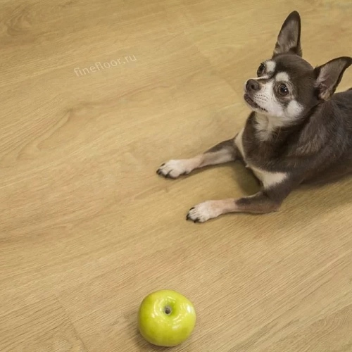 ДУБ СИЦИЛИЯ КВАРЦ ВИНИЛ FINEFLOOR RICH