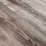 СОСНА ФРЕЙЯ