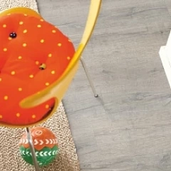 ДУБ КОРОЛЕВСКИЙ СЕРЫЙ