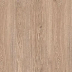 ДУБ САНТЬЯГО