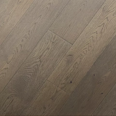 ДУБ ШАМПЛЕЙН