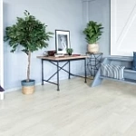 ДУБ СВЕТЛЫЙ