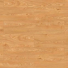 ДУБ КАТАНИЯ