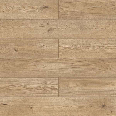 ДУБ МОРИССЕН