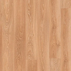 ДУБ БЕЛЁНЫЙ