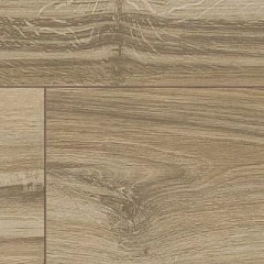 ДУБ ТОРТОНА