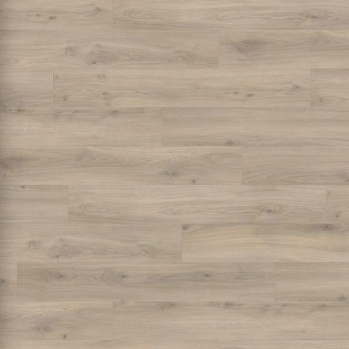 ДУБ ЭМИЛИЯ ВЕЛЬВЕТ СЕРЫЙ ЛАМИНАТ  HARO  TRITTY 100 ламинат для пола