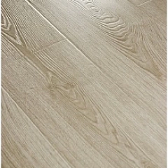 ДУБ СВЕТЛЫЙ