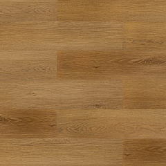 ДУБ ЗОЛОТИСТЫЙ