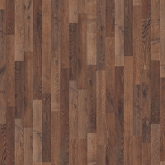 ДУБ ШОТЛАНДСКИЙ