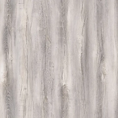 Дуб Карлеон