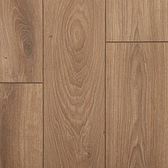 ДУБ НОРФОЛК