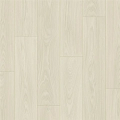 ДУБ ТУМАННЫЙ СЕРЫЙ