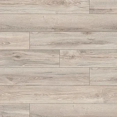 ЛОНГБОУ ДУБ