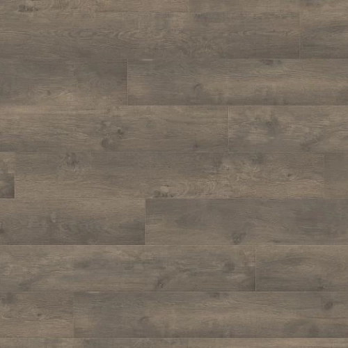 ДУБ ЭЛЕГАНЗА ПУРО ЛАМИНАТ  HARO  TRITTY 100 ламинат для пола