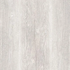 ДУБ СЕВЕРНЫЙ