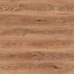 ДУБ БЕНДЖАМИН