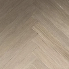 ДУБ БРИСБЕН