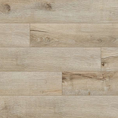 ДУБ БЕЖЕВЫЙ