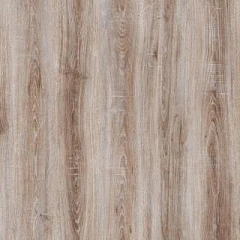 ДУБ ДЖОНСОН