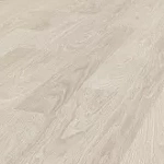 ДУБ РЕЙКЬЯВИК