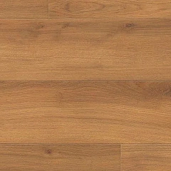 ДУБ ЭМИЛИЯ МЕДОВЫЙ