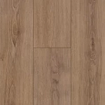 ДУБ НАТУРАЛЬНЫЙ