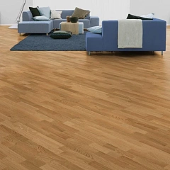 ДУБ СТАНДАРТ