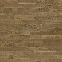 ДУБ КОРСИКА