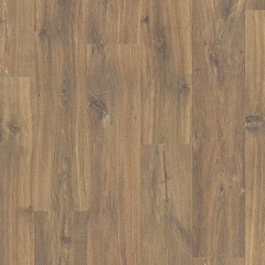 ДУБ ТЁМНЫЙ ПОЛУНОЧНЫЙ