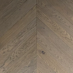 ДУБ ШАМПЛЕЙН