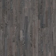 ДУБ ГРОМОВОЕ ОБЛАКО