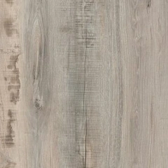 ДУБ КАРЕЛИЯ