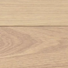 ДУБ МАЛИЙСКИЙ