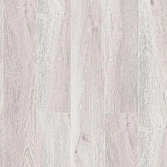 ДУБ СЕРЕБРИСТЫЙ