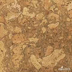 АВИЛА НЕГРО