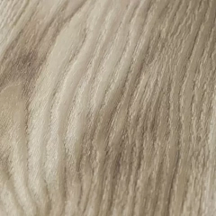 КЛЁН КАНАДСКИЙ