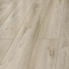 ДУБ КОРСИКА