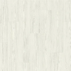 СОСНА СЕРАЯ ЗАТЁРТАЯ