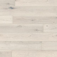 ДУБ ГРОССАМЕР