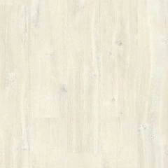 ДУБ ШАРЛОТТ СВЕТЛЫЙ