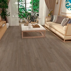 ДУБ КЛАССИЧЕСКИЙ