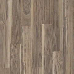 Орех Зимний закат