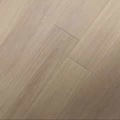 ДУБ БРИСБЕН