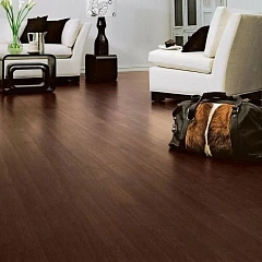 ДУБ ДРЕЗДЕН