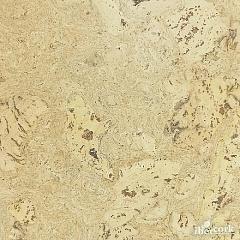 ЛЕОН АРЕНА 6 SG