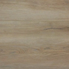 ДУБ РОЧЕСТЕР