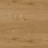 WP 9571 WP 9571