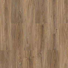 ДУБ ЕВРОПЕЙСКИЙ