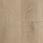 ДУБ МИНДАЛЬНЫЙ